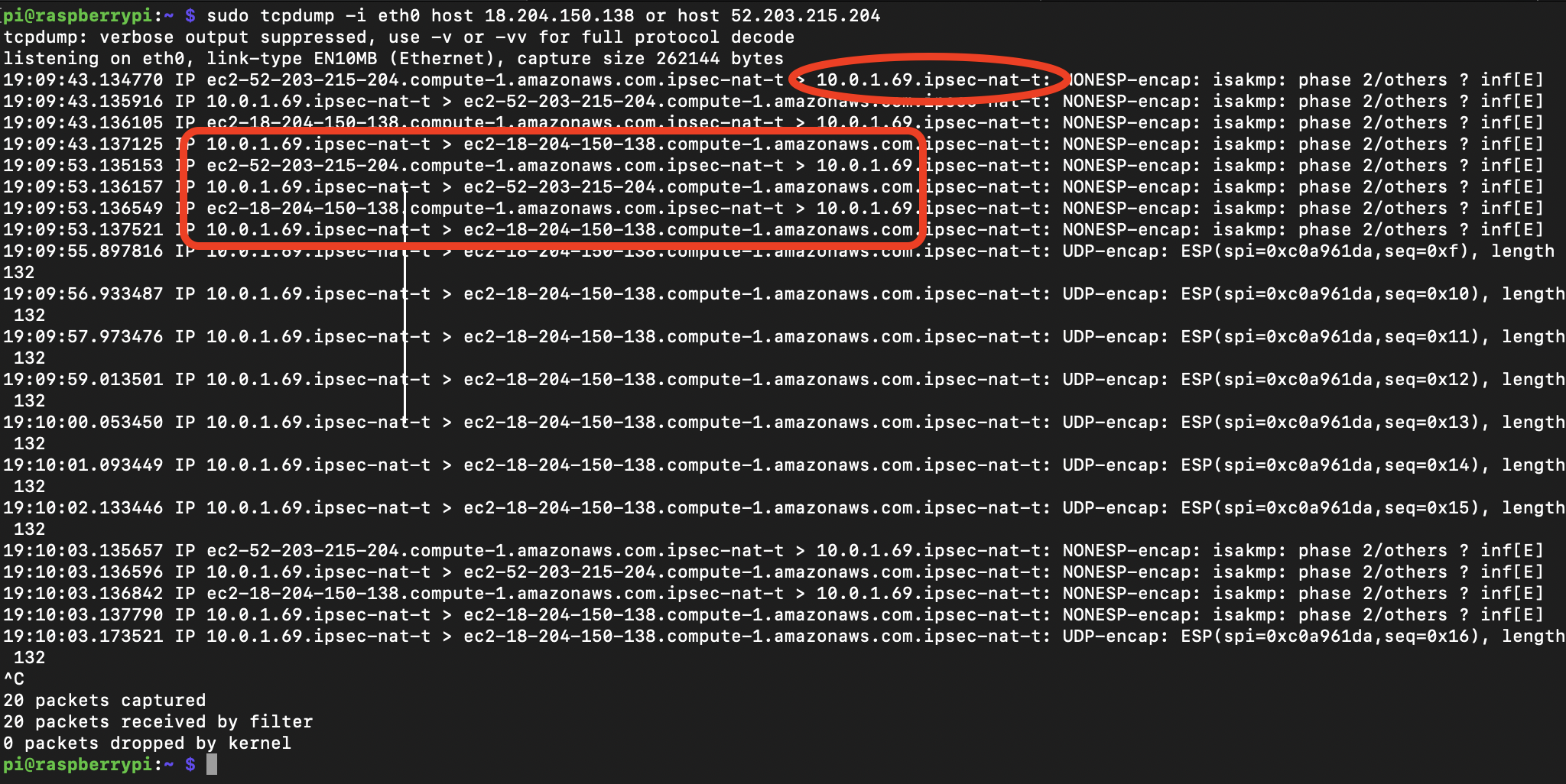 Secure Connection between AWS VPC and a Raspberry Pi Tales of a