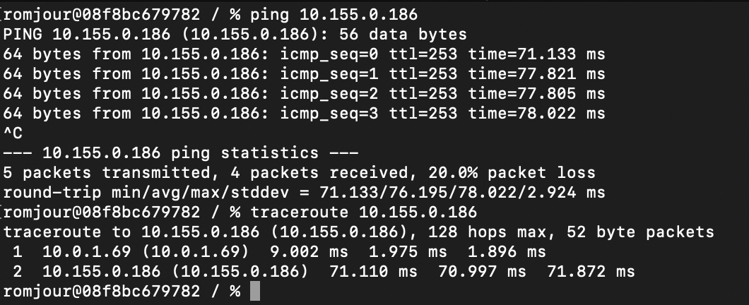 ping from Mac